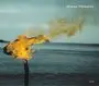 Steve Tibbetts - A Man About a Horse