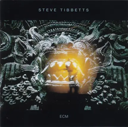 Steve Tibbetts - The Fall of Us All