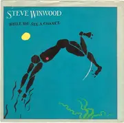 7'' - Steve Winwood - While You See A Chance