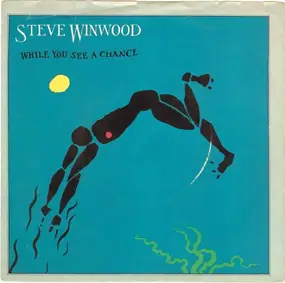 Steve Winwood - While You See A Chance