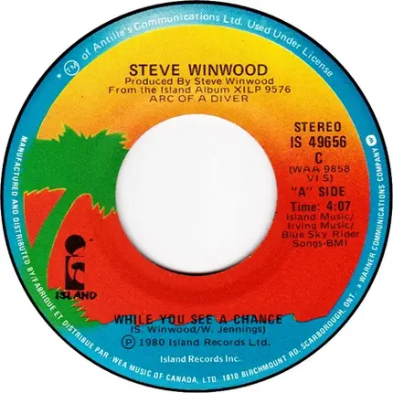 Steve Winwood - While You See A Chance