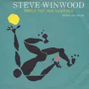 7'' - Steve Winwood - While You See A Chance