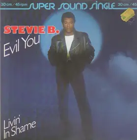 Stevie B - Evil You