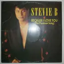 12inch Vinyl Single - Stevie B - Because I Love You (The Postman Song)