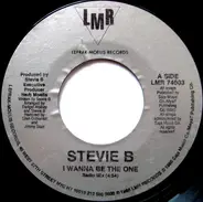 Stevie B. - I Wanna Be The One