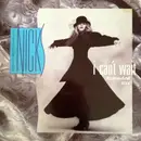 12inch Vinyl Single - Stevie Nicks - I Can't Wait (Extended Mix)