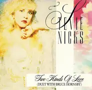 Stevie Nicks With Bruce Hornsby - Two Kinds Of Love