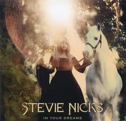 Stevie Nicks - In Your Dreams