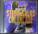 Double CD - Stevie Salas Colorcode - Anthology Of Stevie Salas Colorcode 1987-1994