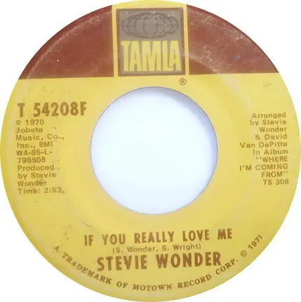 Stevie Wonder - If You Really Love Me
