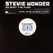 Stevie Wonder Feat. Q-Tip - So What The Fuss