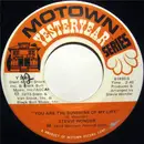 7inch Vinyl Single - Stevie Wonder - You Are The Sunshine Of My Life / Higher Ground