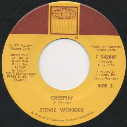 Stevie Wonder - Another Star