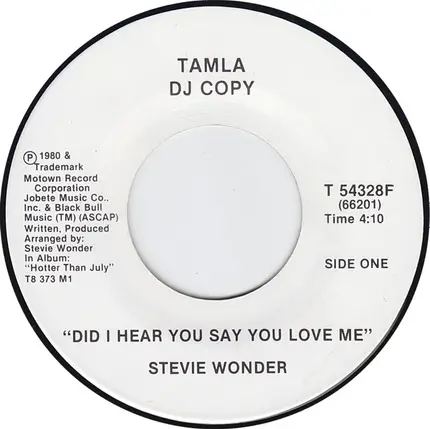 Stevie Wonder - Did I Hear You Say You Love Me