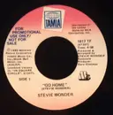7inch Vinyl Single - Stevie Wonder - Go Home