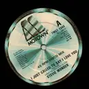 12inch Vinyl Single - Stevie Wonder - I Just Called To Say I Love You - no cover