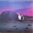 LP - Stevie Wonder - In Square Circle - Gatefold Sleeve