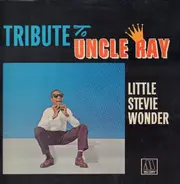 Stevie Wonder - Tribute to Uncle Ray