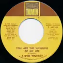 7inch Vinyl Single - Stevie Wonder - You Are The Sunshine Of My Life / Tuesday Heartbreak