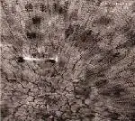 Stevie Wishart / Jim Denley - Tibooburra