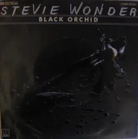 Stevie Wonder - Black Orchid