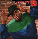 LP - Steady B - What's My Name