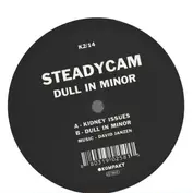 Steadycam
