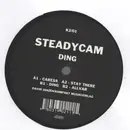 12inch Vinyl Single - Steadycam - Ding