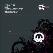 Steal Vybe - Missing You