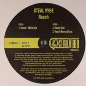 Steal Vybe - Reach
