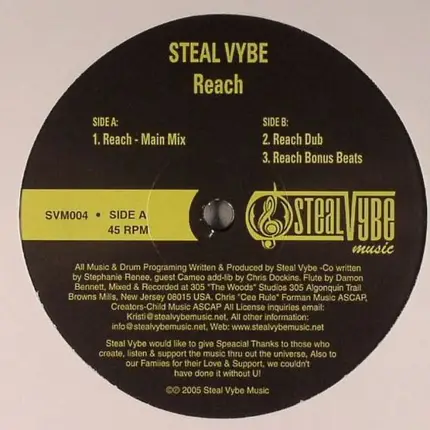 Steal Vybe - Reach
