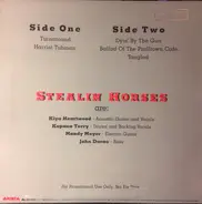 Stealin Horses - 12' Sampler