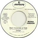 7inch Vinyl Single - Steam - What I'm Saying Is True - Promo