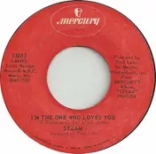 Steam - I'm The One Who Loves You