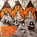 7inch Vinyl Single - Steamhammer - Junior's Wailing / Windmill