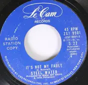 Steel Water - It's Not My Fault / Life Has Taught Me