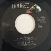 7inch Vinyl Single - Steel Breeze - Dreamin' Is Easy