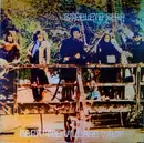 LP - Steeleye Span - Hark! The Village Wait