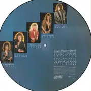 Picture LP - Steeler - Undercover Animal - Picture Disc