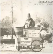 LP - Steely Dan - Pretzel Logic