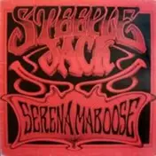 Steeplejack - Serena Maboose