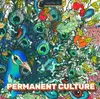12inch Vinyl Single - Steevio , Matt Thibideau , Mark Thibideau , Tom Ellis - Permanent Culture - EP