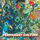 12inch Vinyl Single - Steevio , Matt Thibideau , Mark Thibideau , Tom Ellis - Permanent Culture - EP