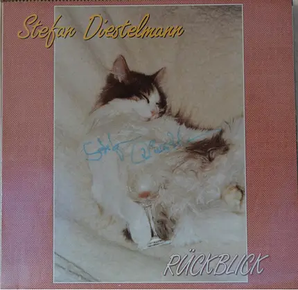 Stefan Diestelmann - Rückblick