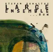 Stefan Schultze Large Ensemble - ...Run