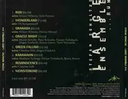 CD - Stefan Schultze Large Ensemble - ...Run