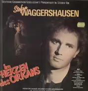 Stefan Waggershausen - Im Herzen des Orkans