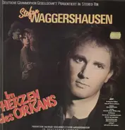 Stefan Waggershausen - Im Herzen des Orkans