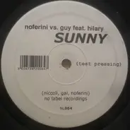 Stefano Noferini & DJ Guy Feat. Hilary Costa - Sunny