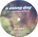 12inch Vinyl Single - Stefano Noferini & DJ Guy Featuring Hilary Costa - A Sunny Day